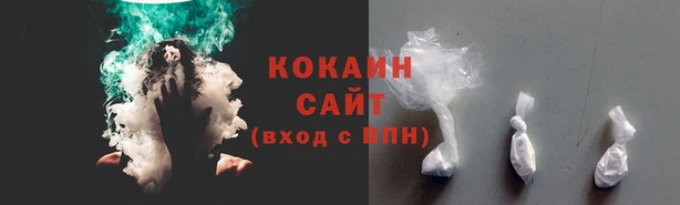 шишки Беломорск
