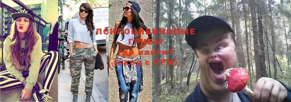 шишки Беломорск