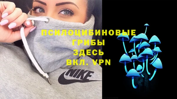 мет Белокуриха
