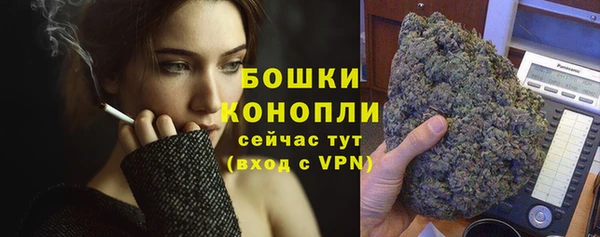 шишки Беломорск