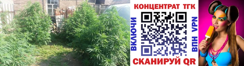 Дистиллят ТГК гашишное масло  Кувандык 