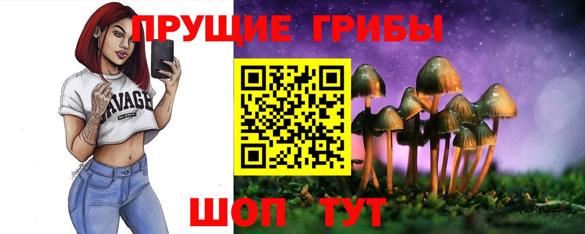 Галлюциногенные грибы Cubensis  Псилоцибиновые грибы MAGIC MUSHROOMS  Вход с VPN  Кувандык 